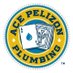 Ace Pelizon Plumbing (@AcePelizon) Twitter profile photo