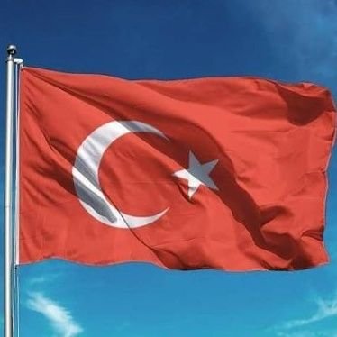 AkbarJaleh37659's profile picture. 