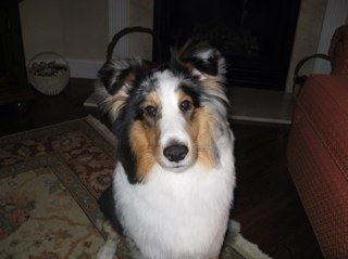 CJ5710's profile picture. 