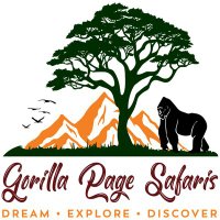 Gorilla Page Safaris (@gorillapagesafa) 's Twitter Profile Photo Gorilla Page Safaris (@gorillapagesafa) 's Twitter Profile Photo