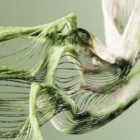 @futurefibresnetwork+ (@futurefibrnplus) 's Twitter Profile