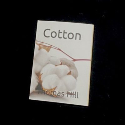 cottonthestory Profile Picture