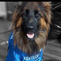 Heather (@hlries07) 's Twitter Profile