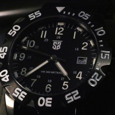 SBwatches Profile Picture