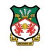 Wrexham AFC 🇲🇽 MX (@wrexhammx) Twitter profile photo