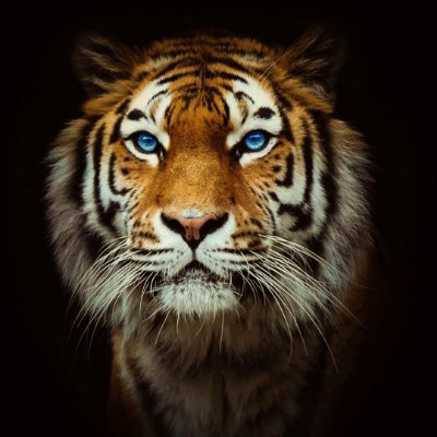 mdazizulislam24's profile picture. 