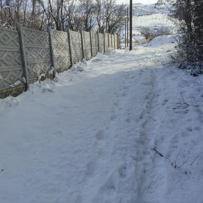 Sinan10767554's profile picture. 