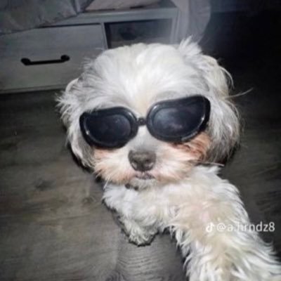 x83638's profile picture. black f*g serving white alphas (raceplay)