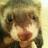 akindo_potter's profile image