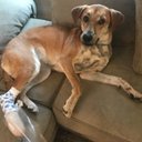 Nancy Bruss - @BrussNancy60301 - Twitter