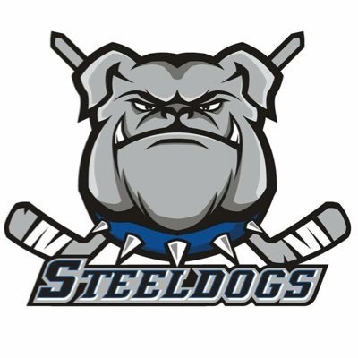 Official twitter account of the Bradfield Brewery Sheffield Steeldogs Ice Hockey Club. National Cup & Playoff champions 2022 🏆🏆