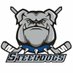 Sheffield Steeldogs (@SteeldogsIHC) Twitter profile photo