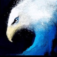 BLUE TSUNAMI 2022 (@patrickschaub5) 's Twitter Profile