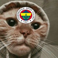 Uğurrrrr (@fnrbhchrsymz) 's Twitter Profile