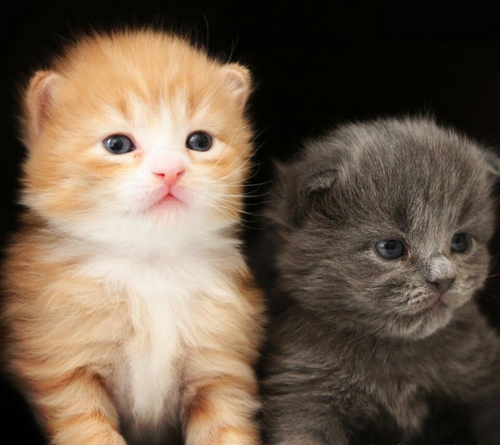 thintickr's profile picture. 