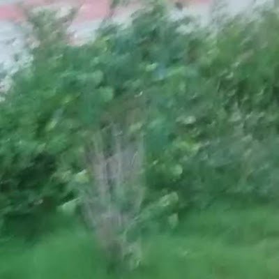 moovendan86's profile picture. 