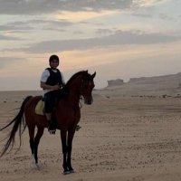 سعد يحيى العوده (@yhyyd44190) Twitter profile photo