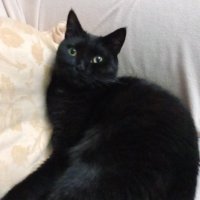 Merves (@simsekmerveee) 's Twitter Profile Photo