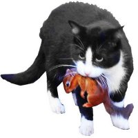 Jeff Thies (@jeffthies420) 's Twitter Profile Photo Jeff Thies (@jeffthies420) 's Twitter Profile Photo