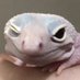 Slappy (@slap_rack_pull) Twitter profile photo Slappy (@slap_rack_pull) Twitter profile photo