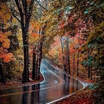 🌎⚔️🌐
22. 🇨🇿🇨🇺. friends. Hopeful about humanity.🦇🔊🦀🛡
If you don't persist, if you don't work hard, no matter how good you are now, you will disappear.