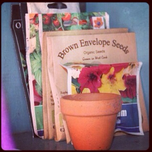 Tweet us with what seeds you have to swap and we'll find them a home!