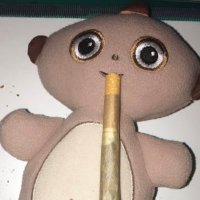 Adrian_macapaca (@amacapaca) 's Twitter Profile