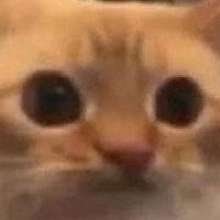 Mewie (@mewiebababooie) 's Twitter Profile