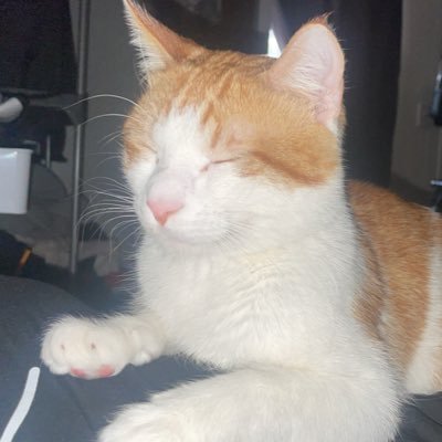 Primitvejake's profile picture. Twitch @primitvejake go drop a follow!!!!