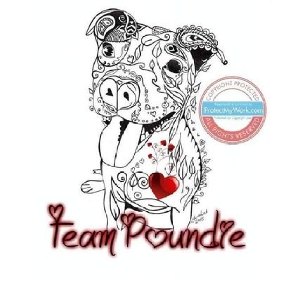 Official account for Team Poundie.
Registered Charity Number 1166962. 
PayPal: pennies@teampoundie.com