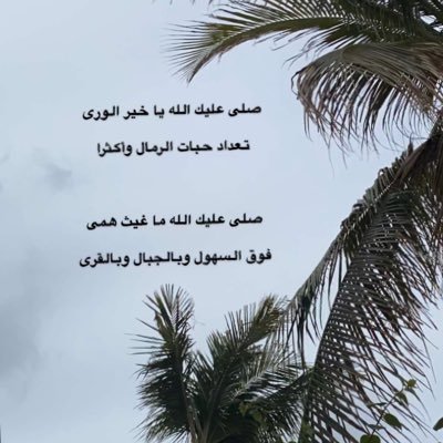 EngFaisalalamri's profile picture. عابر سبيل