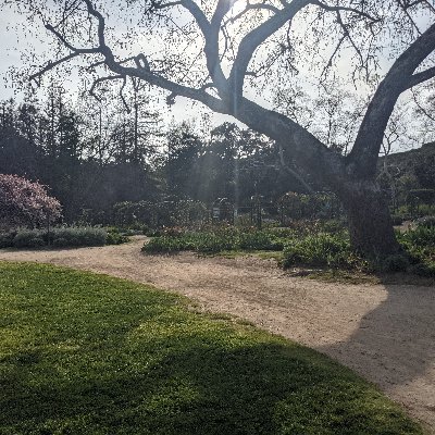 KyleJAitken's profile picture. Researcher in computational/theoretical neuroscience. Former particle physicist. (He/Him)
Views are my own.