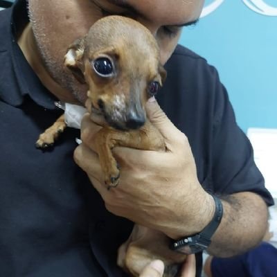 danielcostafree's profile picture. Fotógrafo.