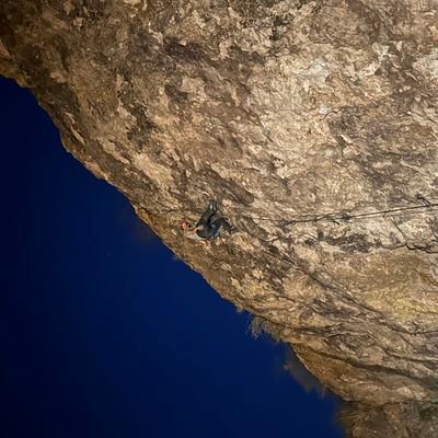 OrtergaPaz259's profile picture. 