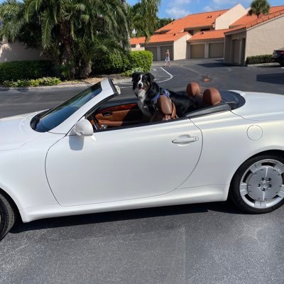 TommyBurke2566's profile picture.