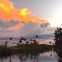 Esraa Elfoly (@esraa_elfoly) Twitter profile photo