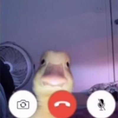 Aliencitoさんのプロフィール画像