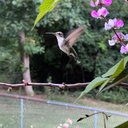 Tina Denson - @Tinamap - Twitter