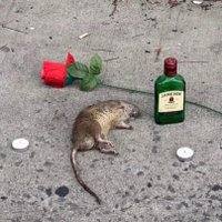 El - PolSciEconSalsa (@polscieconsalsa) 's Twitter Profile Photo El - PolSciEconSalsa (@polscieconsalsa) 's Twitter Profile Photo