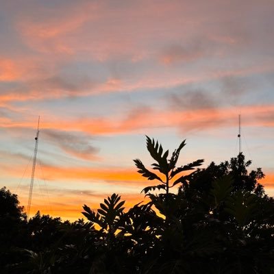 Carlosd021's profile picture. cool