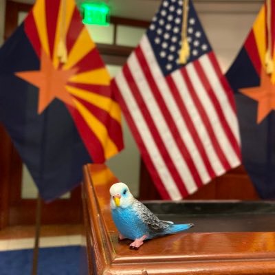 Reporter covering Arizona’s @GovernorHobbs and @AZAGMayes for The Arizona Republic | @azcentral. Story ideas welcome. stacey.barchenger@arizonarepublic.com