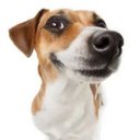 Damien Pham - @StorrorPM - Twitter