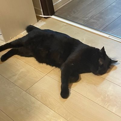 うきさんのプロフィール画像