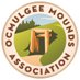 Ocmulgee Mounds Association (OMA) (@ocmulgeemounds) Twitter profile photo