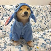 drxpiwnl's profile picture. quit