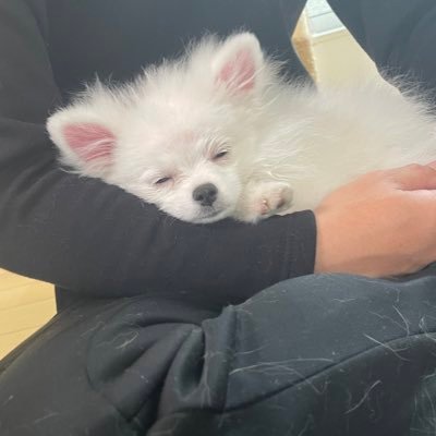 takananpiii's profile picture. 