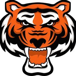 Rawlings Tigers _Cleveland Profile