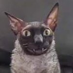 JakonTZ_'s profile picture. universitario intrépido