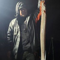 川戸達夫 (@lntuptfgcvwzgx7) 's Twitter Profile