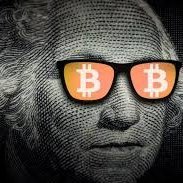 toskytoken's profile picture. “It might make sense to get some, in case it catches on.” – Satoshi